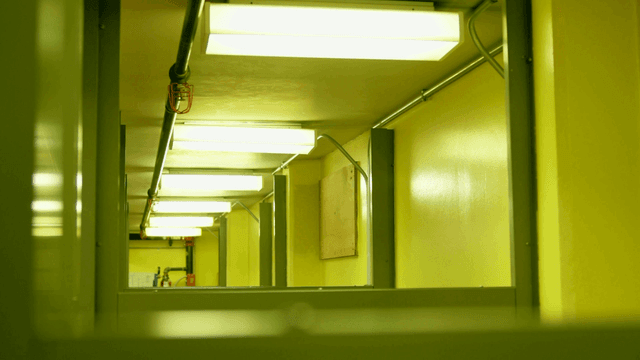 A view down a row of cubicles